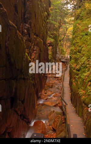 Una passerella conduce gli escursionisti attraverso la Flume Gorge nel New Hampshire Foto Stock