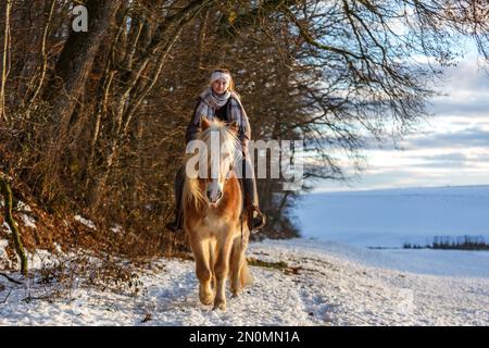 Una giovane adolescente equestre cavalca il suo cavallo haflinger attraverso la neve in serata durante il tramonto di fronte a un paesaggio invernale rurale innevato Foto Stock