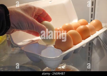 Donna che prende l'uovo dalla scatola di libera gamma uova fresche di polli in un frigorifero Foto Stock