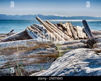 Una casa sulla spiaggia fatta di tronchi di driftwood si trova a South Beach sull'isola di San Juan con Puget Sound e le montagne olimpiche dietro. Foto Stock