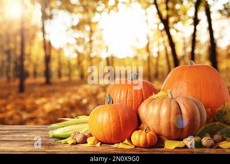 Buon giorno del Ringraziamento. Zucche fresche, mais, noci e foglie cadute sulla tavola di legno all'aperto Foto Stock