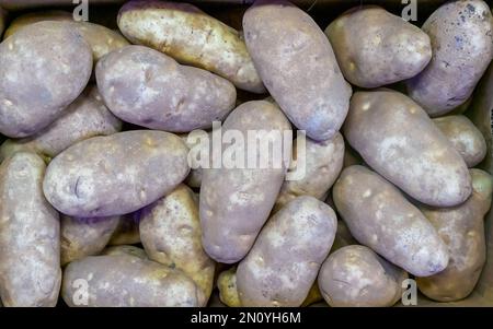 Un gran numero di patate fresche in fette biscottate pronte per essere spedite al cliente Foto Stock