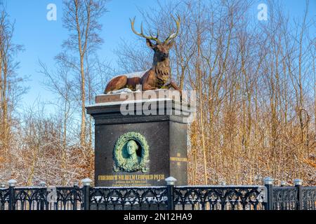 Escursioni invernali nei monti Harz Bodetal Friedrichsbrunn Thale Foto Stock