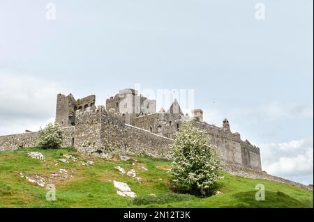 Monumento storico della storia irlandese, vista generale dal basso, Rock of Cashel, County Tipperary, Irlanda, Europa Foto Stock