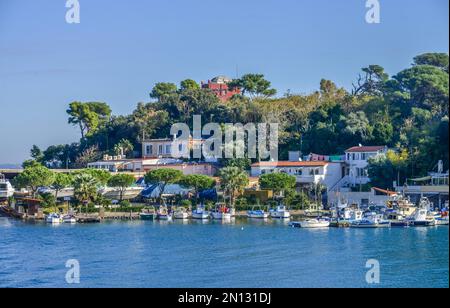Barche da pesca, porto, Ischia Porto, Isola d'Ischia, Italia, Europa Foto Stock
