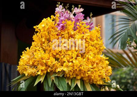 Facendo corone di fiori e figure di fiori, Phuket, Thailandia, Asia Foto Stock
