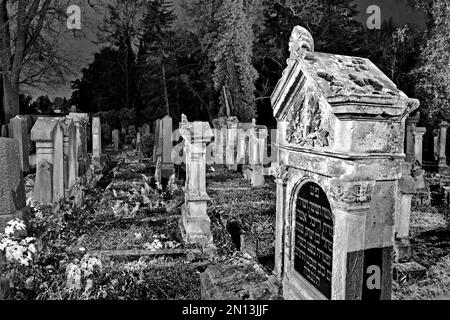 Cimitero ebraico di notte, Göttingen, bassa Sassonia, Germania, Europa Foto Stock