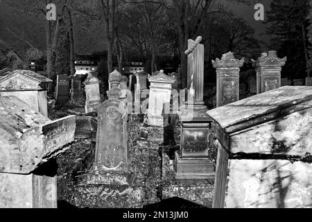 Cimitero ebraico di notte, sullo sfondo i nuovi edifici della strada an der Gerichtslinde, Göttingen, bassa Sassonia, Germania, Europa Foto Stock