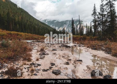 La parte secca del letto del fiume con pietre al mattino sullo sfondo di montagne con nebbia che lascia dopo la pioggia in Altai nella foresta abo Foto Stock