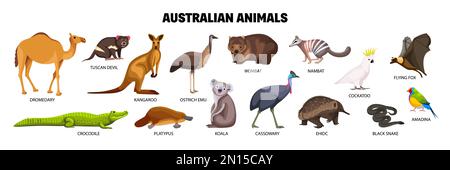 Animali australiani piatti set con coccodrillo cockatoo amadina intorpat serpente cassowary dromedary koala isolato vettore illustrazione Illustrazione Vettoriale