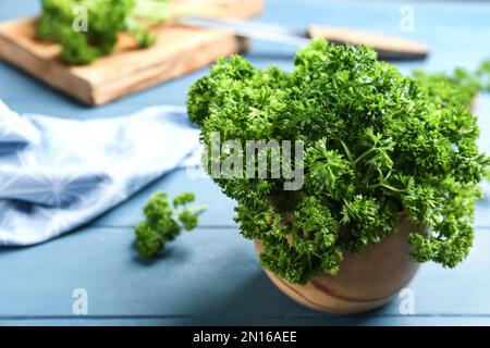 Prezzemolo fresco riccio in ciotola di legno su tavolo blu Foto Stock