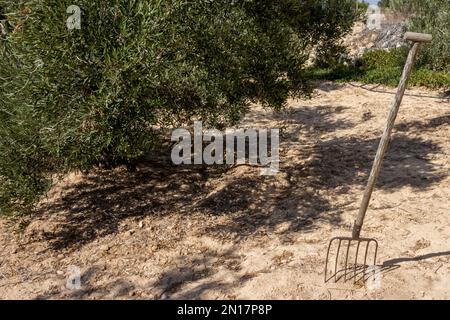 Una forchetta bloccata nel terreno Foto Stock