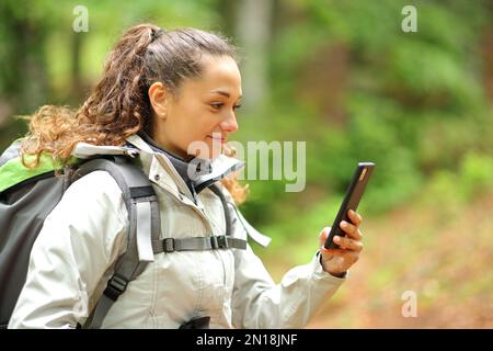 L'escursionista a piedi controlla il telefono in una foresta Foto Stock