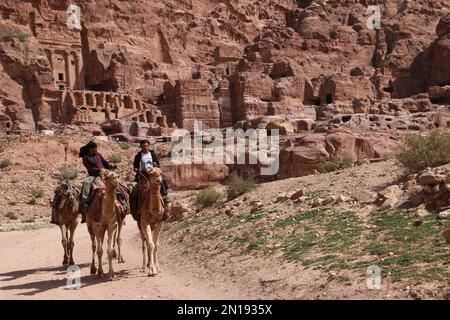 Cammelli a riposo di fronte al Treasury Building, Petra, Giordania Foto Stock