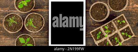 Piantine di fiori in vaso in vasi biodegradabili di muschio di torba. Vista dall'alto di piantine e tavoletta digitale su sfondo in legno. Programma di piantatura Foto Stock