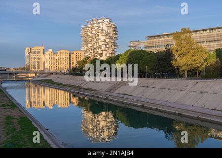 Montpellier, Francia - 01 12 2022 : veduta panoramica della biblioteca universitaria, arbre blanc e sala provinciale edifici di architettura moderna con riflessione Foto Stock