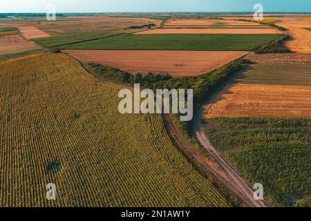 Ripresa aerea del paesaggio di campagna con campi coltivati dal drone pov al tramonto estivo. Paesaggio colorato con piantagione agricola patc Foto Stock