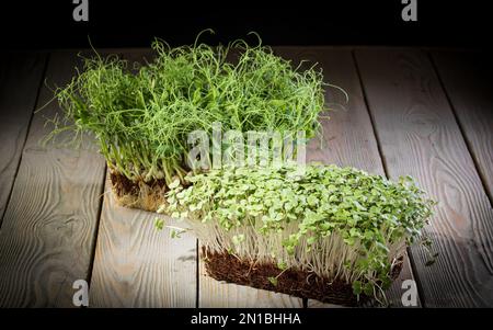 Microgreens. Due contenitori crescenti con piselli e verdi di senape su una tavola di legno. Foto Stock