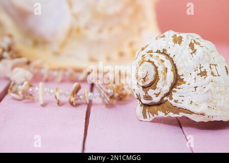 Guscio bianco su tavole di legno rosa pallido su sfondo sfocato. Viaggi, vacanze, estate. Spazio di copia Foto Stock