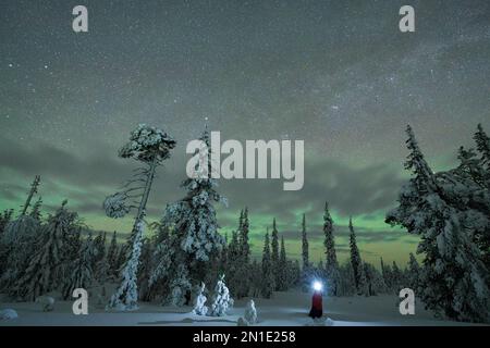 Escursionista con faro che ammira l'aurora boreale (Aurora borealis) che si trova nella foresta innevata di Kangos, nella contea di Norrbotten, in Lapponia, in Svezia Foto Stock