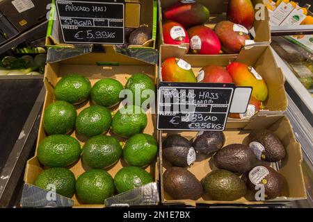 Italia - 5 febbraio 2023: Vari tipi e colori di asino di avocado in scatole di cartone su scaffale per la vendita con prezzi in euro in un supermercato italiano Foto Stock