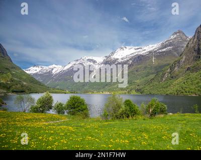 Vista sulle case lungo la riva del lago Oldevatnet, all'interno della valle del fiume Oldedalen, Vestland, Norvegia, Scandinavia, Europa Foto Stock