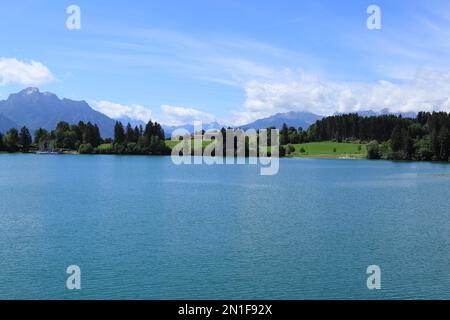 La vista di Forggensee in estate Foto Stock