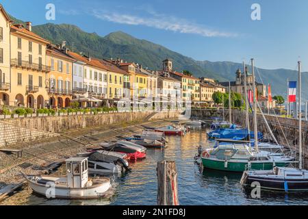 Porto della città vecchia, Cannobio, Lago maggiore, Piemonte, Laghi italiani, Italia, Europa Foto Stock