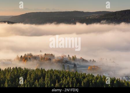 Nebbia mattutina sul lago Schluchsee, Foresta Nera meridionale, Baden-Wurttemberg, Germania, Europa Foto Stock