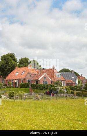 Vista estiva del piccolo villaggio olandese di Niehove nella provincia di Groningen, nei Paesi Bassi Foto Stock