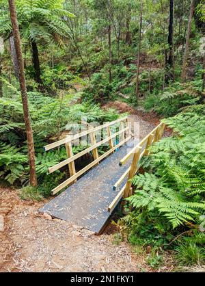 Yackandandah MTB Trails in Australia Foto Stock