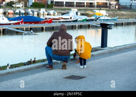 padre e il suo ragazzino danno pane alle anatre Foto Stock