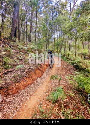 Yackandandah MTB Trails in Australia Foto Stock