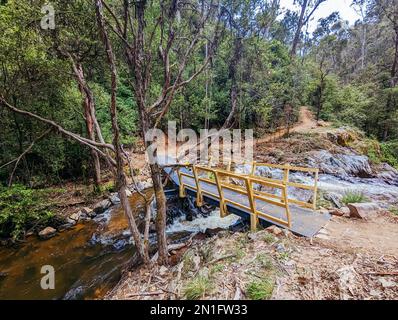 Yackandandah MTB Trails in Australia Foto Stock