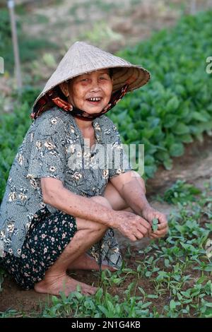 Contadino al lavoro, agricoltura, orto biologico nel villaggio di tra Que, Hoi An, Vietnam, Indochina, Asia sudorientale, Asia Foto Stock