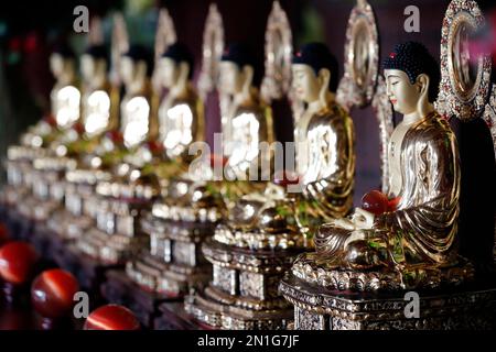 Fila di statue del Buddha seduto, pagoda buddista Linh Ung, Danang, Vietnam, Indocina, Asia sudorientale, Asia Foto Stock