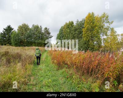 Backpacker va sulla strada di campagna. Uomo con zaino turistico è escursioni in estate o autunno stagione. Stile di vita attivo. Attività ricreative all'aperto. Foto Stock