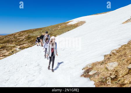 Una vista spettacolare sulla deriva della neve durante l'estate al Passo Rawson sul Monte Kosciuszko nel Parco Nazionale di Kosciuszko nel nuovo Galles del Sud, Australia Foto Stock