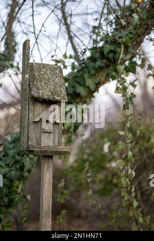 Foto verticale di un vecchio birdhouse in legno nel giardino con sfondo sfocato con cielo blu in un giorno di autunno Foto Stock