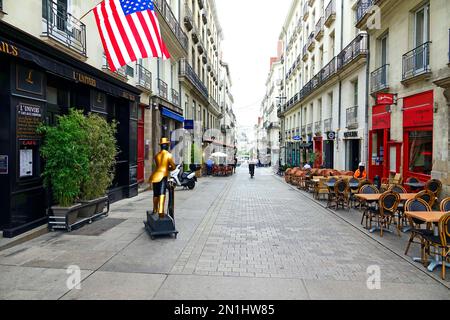 Nantes è una città della Loira Atlantica sulla Loira Francia a 50 km dalla costa atlantica Foto Stock