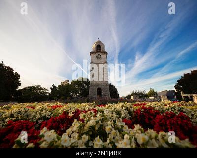 Storica torre dell'orologio in pietra, monumento commemorativo della guerra mondiale in Piazza Seymour, circondata da fiori colorati nel centro della città di Blenheim Marlborough South Island Foto Stock