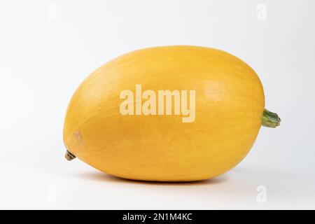 Zucca isolata sul bianco con ombra e sottile riflesso. Zucca matura brutta, zucca arancione. Raccolto. Foto Stock