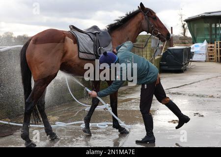 I cavalli vengono lavati dopo l'esercizio mattutino presso il cantiere di Willie Mullins a Bagenalstown, nella contea di Carlow, Irlanda. Data immagine: Lunedì 6 febbraio 2023. Foto Stock