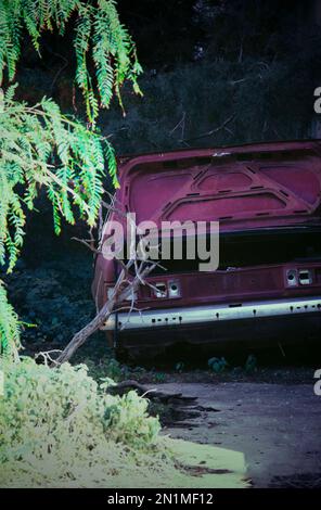 Relitto di automobili abbandonati nelle strade di Varosha, Famagosta a Cipro. Foto Stock