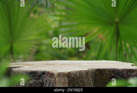 tavolo vuoto tavolo piano legno contatore podio in giardino tropicale esterno foresta sfocato sfondo verde pianta con space.product presente pede naturale posizionamento Foto Stock