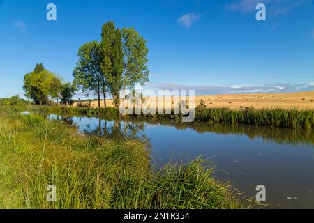 Paesaggio di un piccolo fiume e campi in provincia di navarra. Nord della Spagna Foto Stock