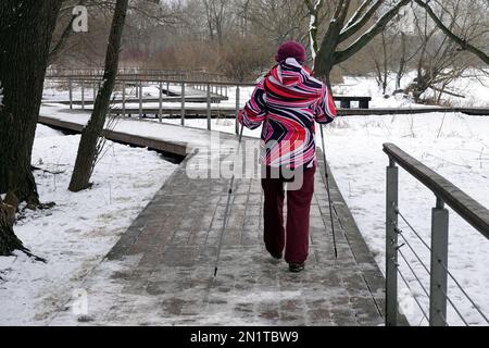 Donna adulta in giacca colorata moto nordic Walking nel parco invernale con due bastoni sportivi scandinavi vista dal retro Foto Stock
