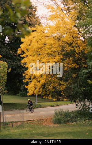 NEW YORK, USA - 11 OTTOBRE 2022: Uomo in bicicletta sulla strada durante l'autunno Foto Stock