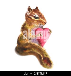 Immagine acquerello, bosco chippmunk con cuore, isolato su sfondo bianco. Per i poscad di San Valentino. Foto Stock