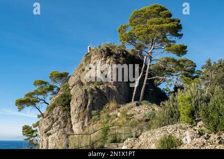 riviera Italiana - Camogli, Liguria, Italia. Paesaggio panoramico con ripide scogliere e alberi durante una giornata di sole Foto Stock
